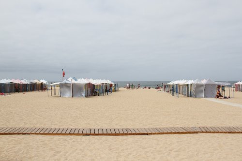 portugal  beach  sand