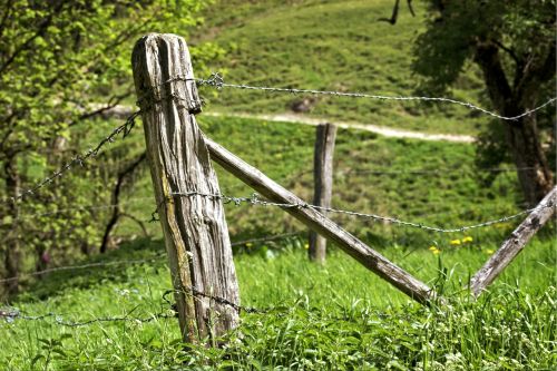 post pasture fence fence