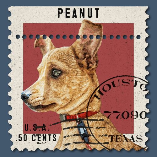 post stamp postal