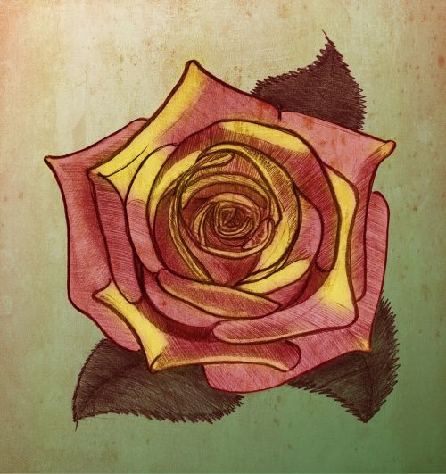 postcard rose vintage