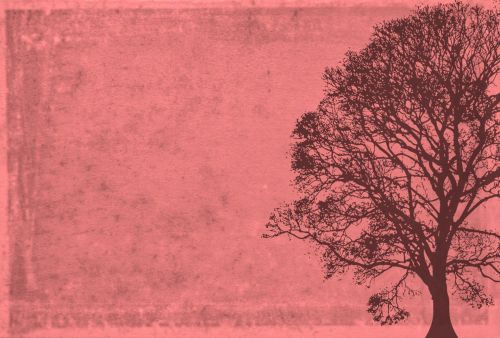 Postcard With Tree