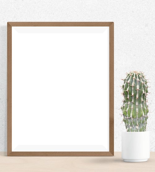 poster  frame  cactus
