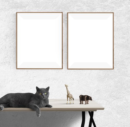 poster  frame  cat
