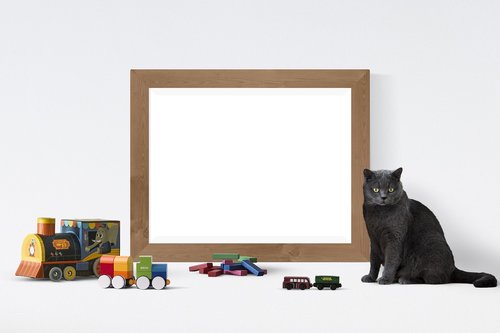 poster  frame  toys