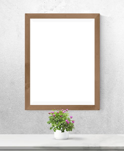 poster  frame  plant