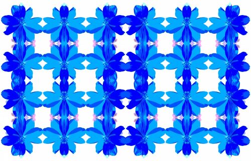 Poster Blue Flower Pattern
