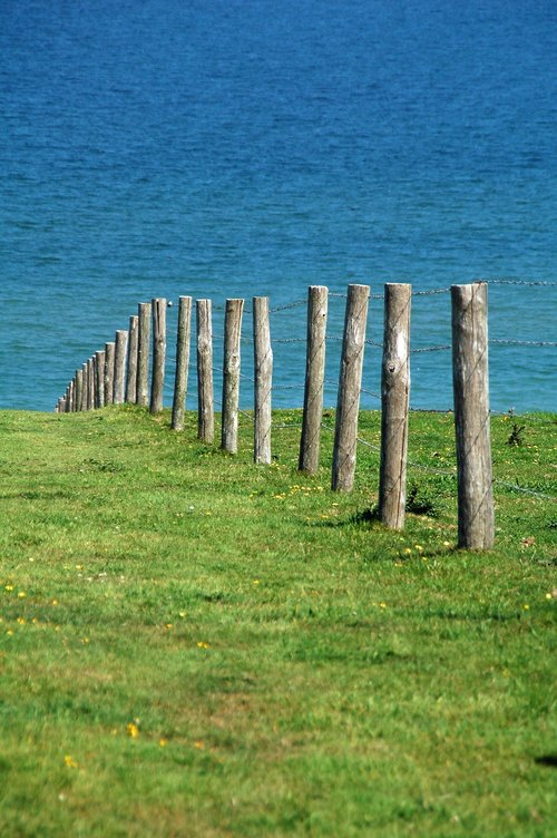 posts  grass  green