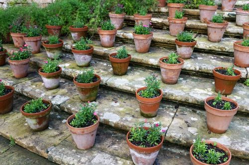 pot flower stairs