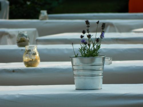 pot vase lavender