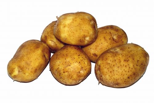 potato young eating