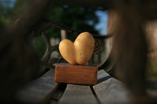 potato  heart  hand