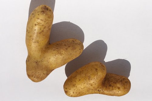 potato  heart  vegetables