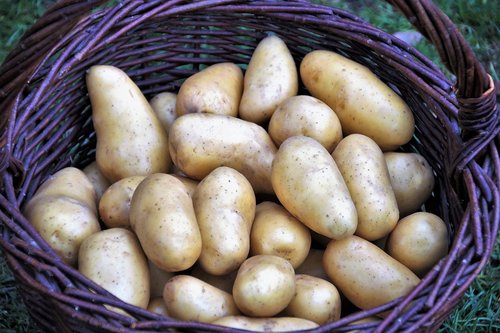 potato  basket  potatoes