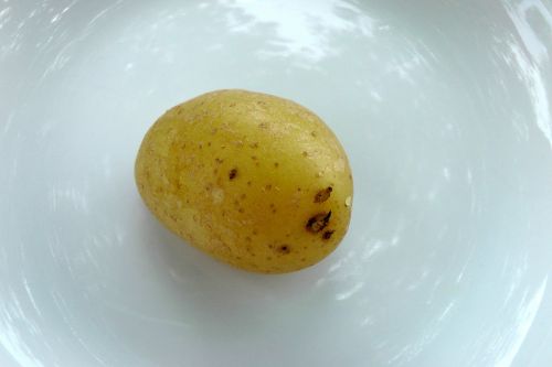 potato cooked