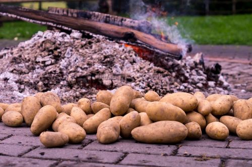 potato fire potato roast embers