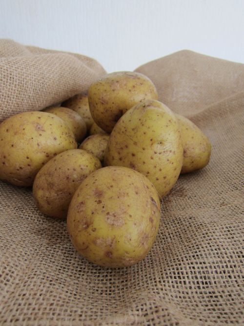 potatoes burlap nature