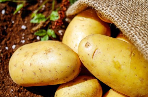 potatoes vegetables erdfrucht
