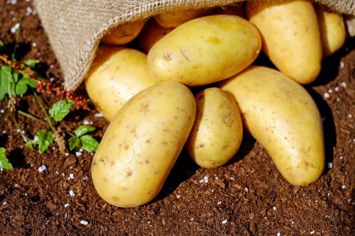 potatoes vegetables erdfrucht