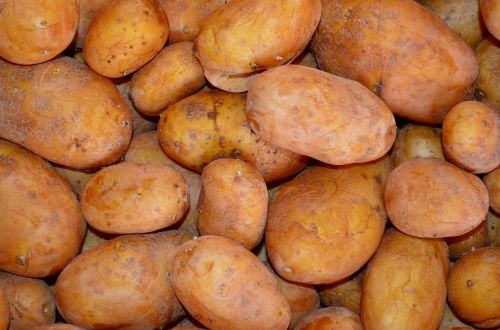 potatoes vegetables background