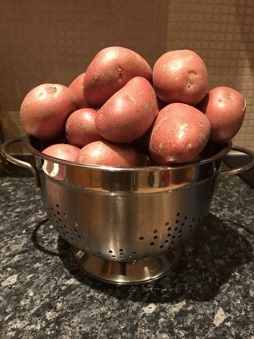 potatoes spuds irish potatoes