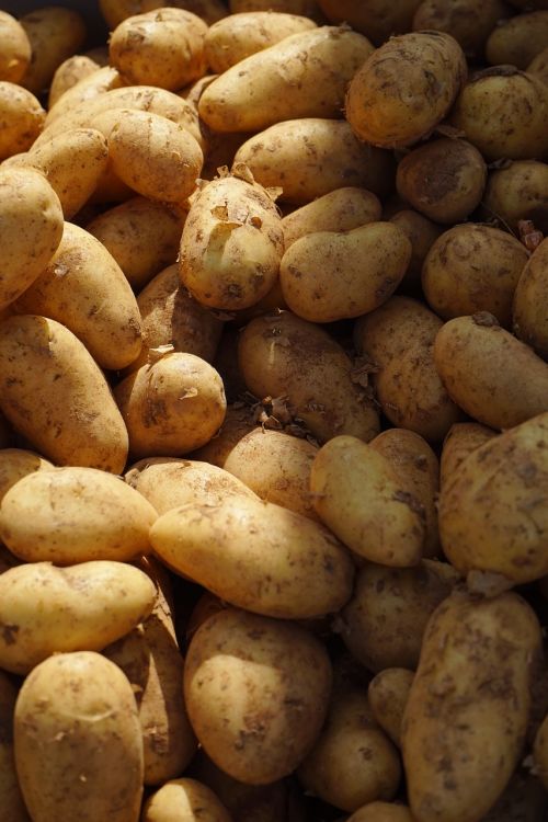 potatoes market vegetables