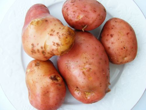 potatoes nature vegetable