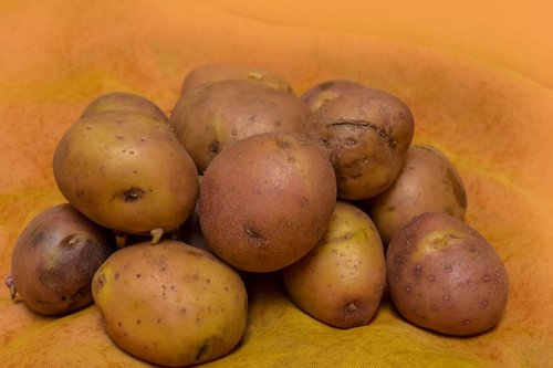 potatos  food  nutrition