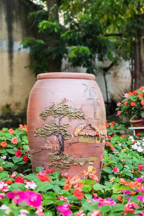 potted pot flower