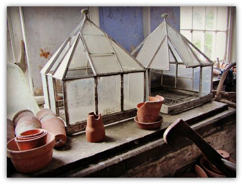 potting shed cloche garden