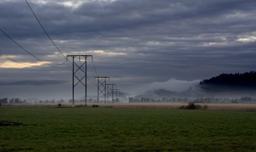 power wires morning