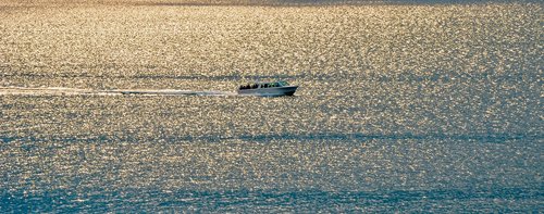 powerboat  wave  evening sun