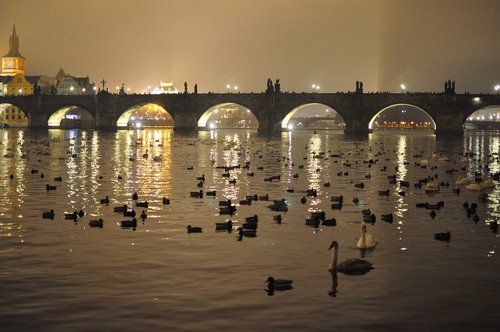 prague  bridge  city