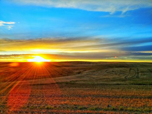 prairie sunset field
