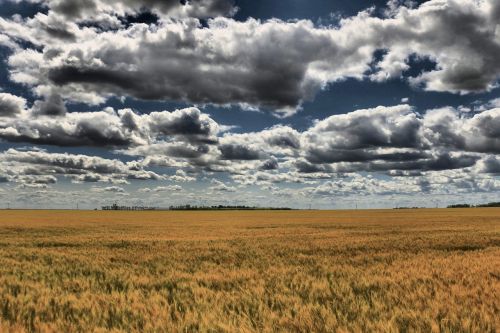 prairie sky clouds