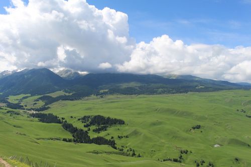 prairie the scenery in xinjiang