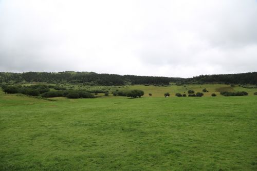 prairie grassland empty