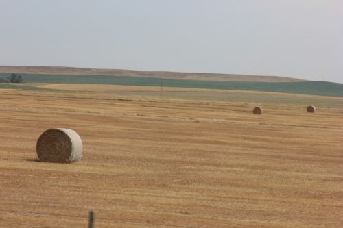 prairie field landscape
