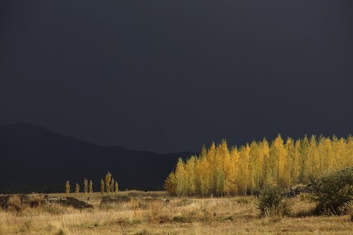 prairie  dark clouds  autumn