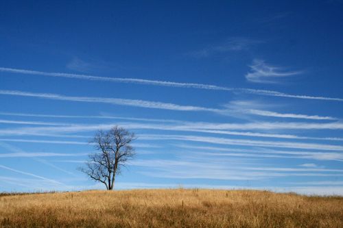 prairie meadow midwest