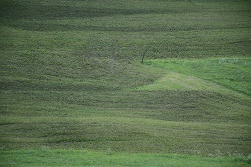prato  grass  south tyrol