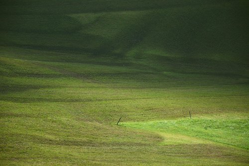 prato  grass  south tyrol