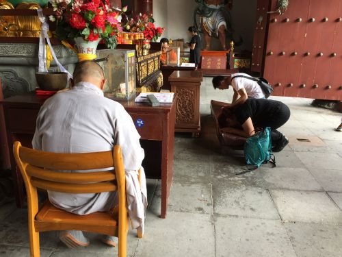 pray prayer buddha