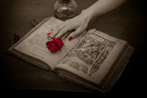 prayer book rose red rose
