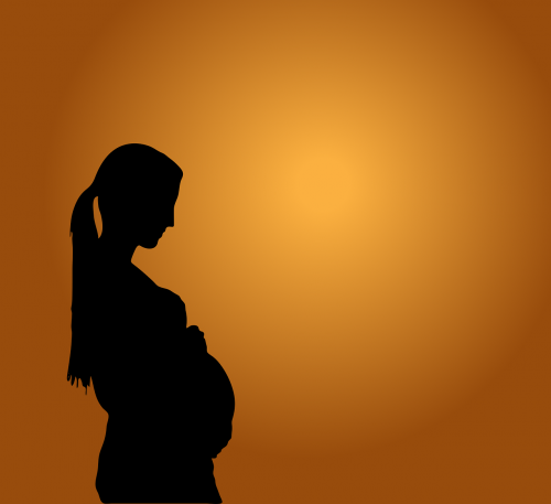 pregnancy pregnant mother