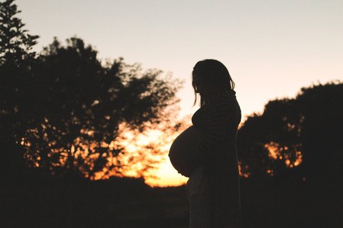 pregnant  sunset  trees