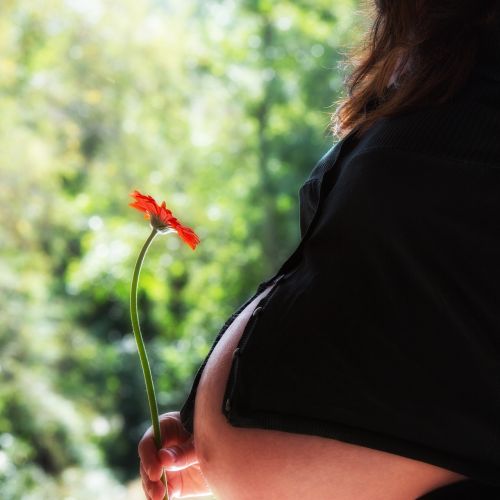 pregnant woman pregnancy speaker