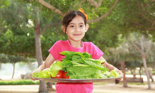 preparing testy salad