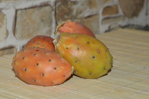 prickly pear fruit fruits