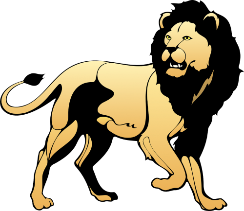 pride lion animal