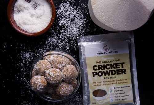 primal future cricket powder cricket flour